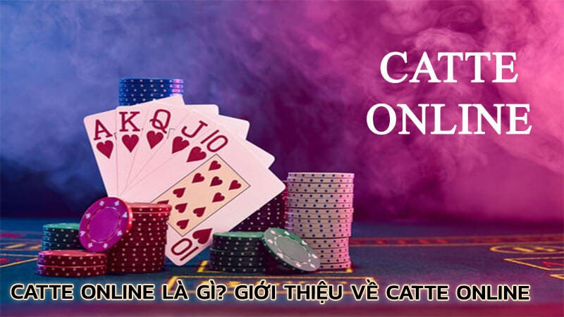 catte-online-la-gi-gioi-thieu-ve-catte-online