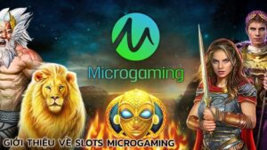 gioi-thieu-ve-slots-microgaming