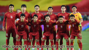 tong-quan-ve-soi-keo-bong-da-viet-nam