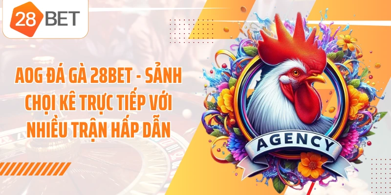 AOG Đá Gà 28BET - Sảnh Chọi Kê Trực Tiếp Với Nhiều Trận Hấp Dẫn