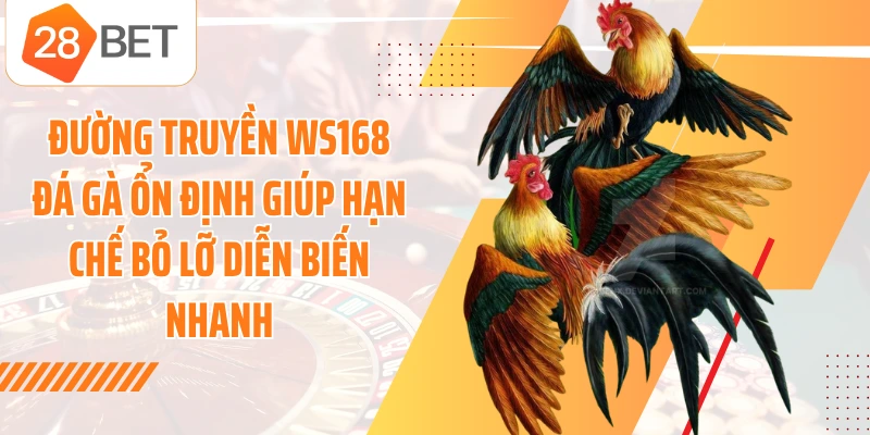 Đường truyền WS168 đá gà ổn định giúp hạn chế bỏ lỡ diễn biến nhanh
