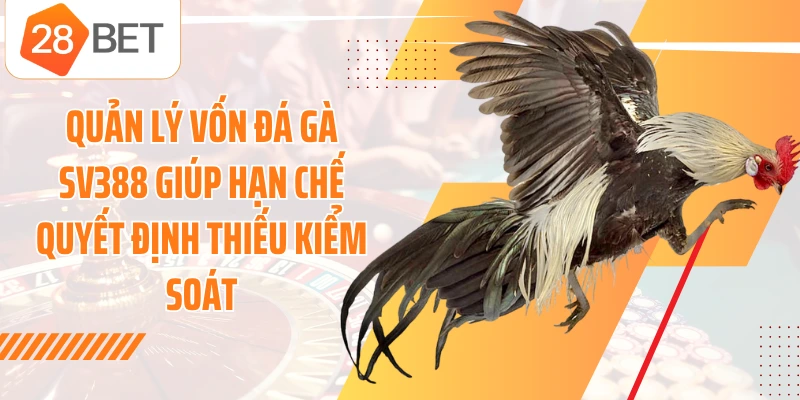 Quản lý vốn đá gà SV388 giúp hạn chế quyết định thiếu kiểm soát