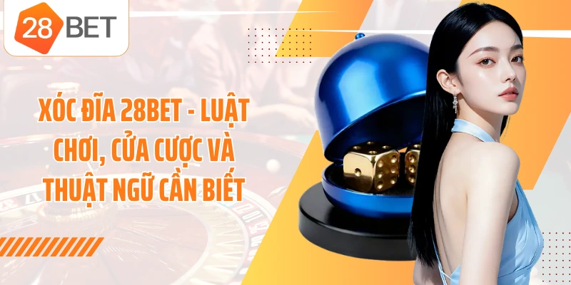 Xóc Đĩa 28BET - Luật Chơi, Cửa Cược Và Thuật Ngữ Cần Biết